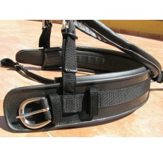 NYLON INOX HARNESS