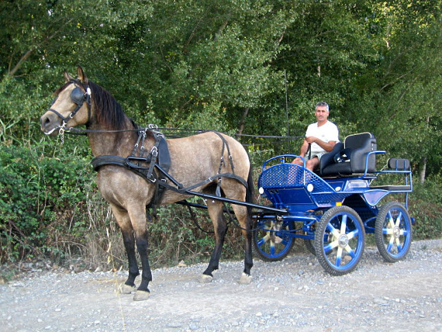 Albert campeón de Catalunya 2010